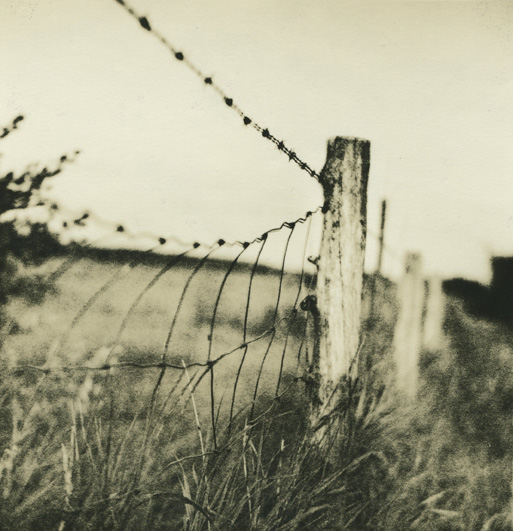 Fence 3