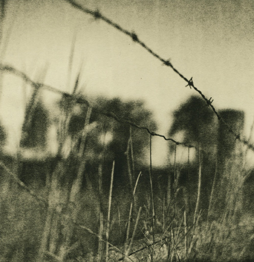 Fence 5