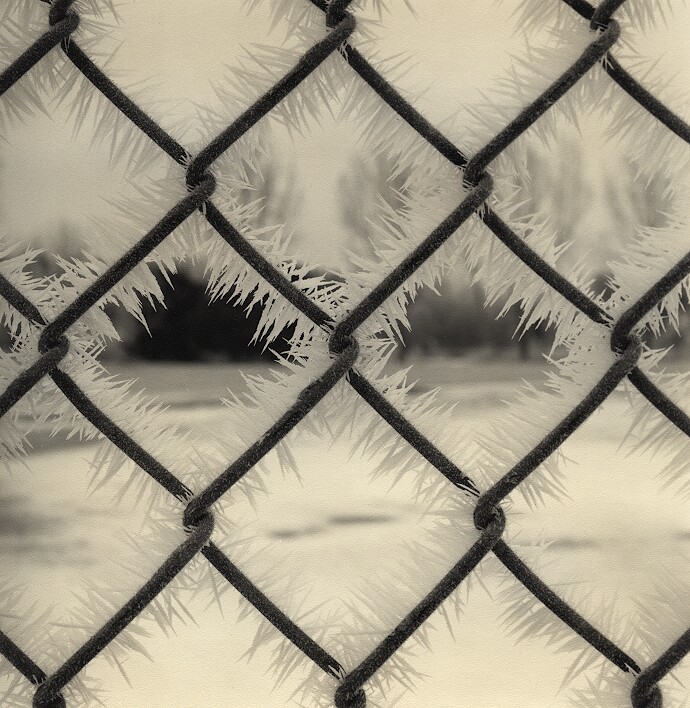 Fence and Frost (print)