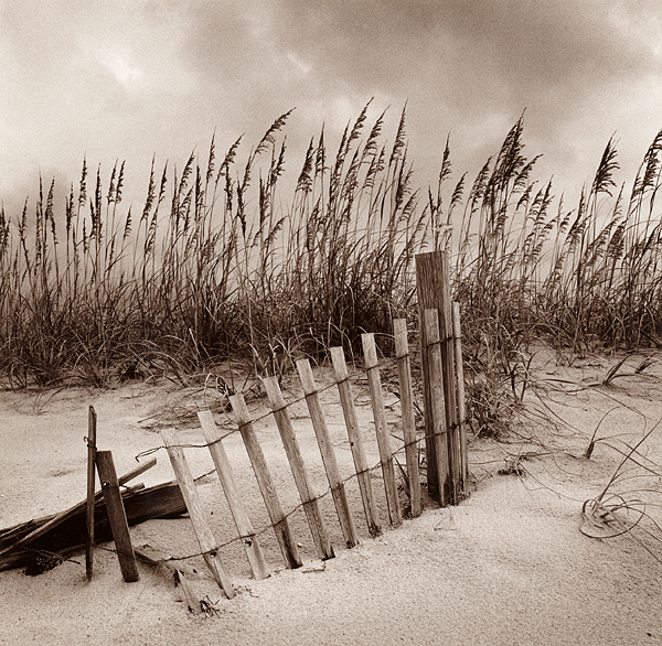 Fence and Grasses, Cape Hatteras