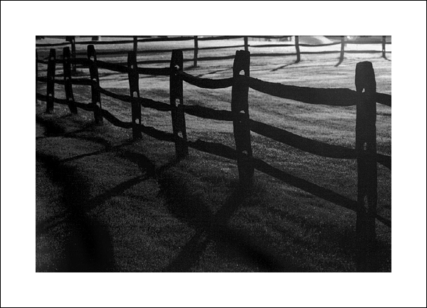 Fence, Campbell's Farm
