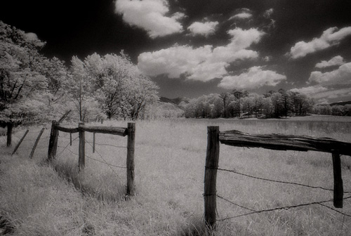 Fence in the cove