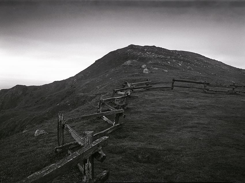 Fence line   Point Reyes National Shoreline