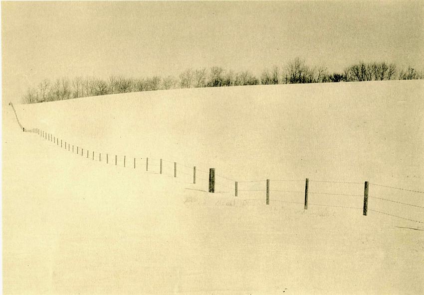 Fence Line