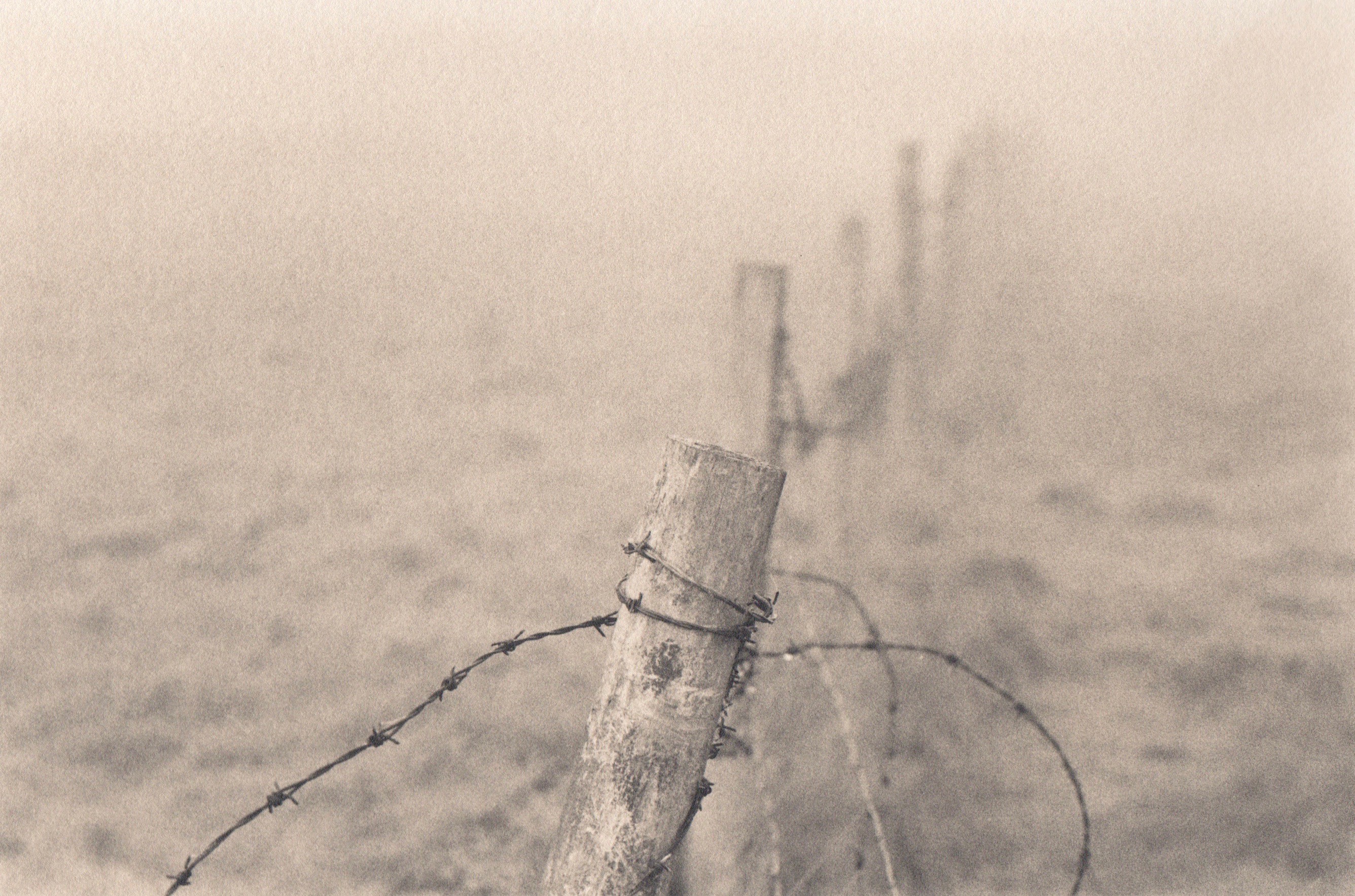 Fence line