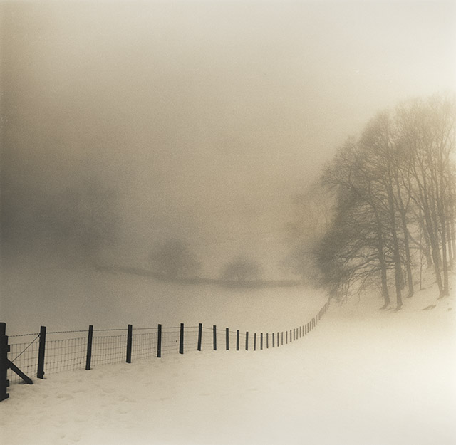Fence, Mist And Snow