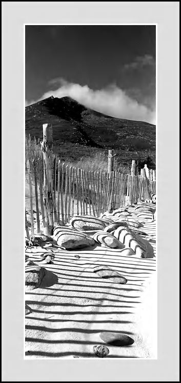 Fence Shadow II