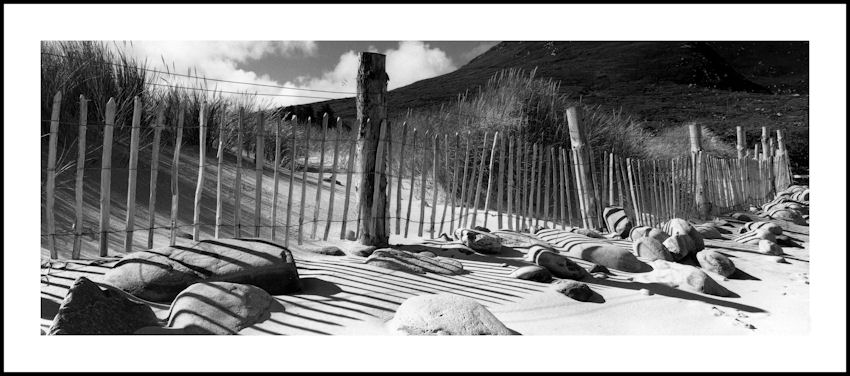 FENCE SHADOW