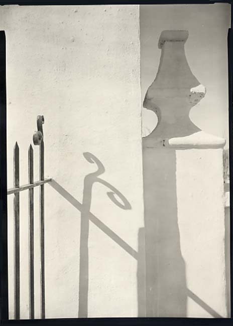 Fence Shadow