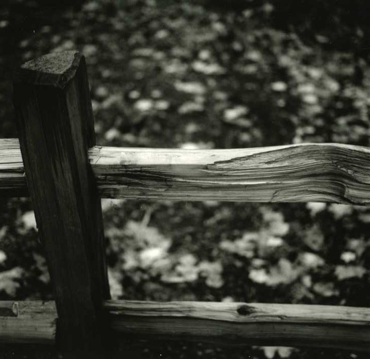 Fence, Westmorland Park, Portland OR