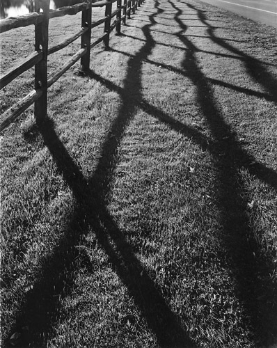 Fence