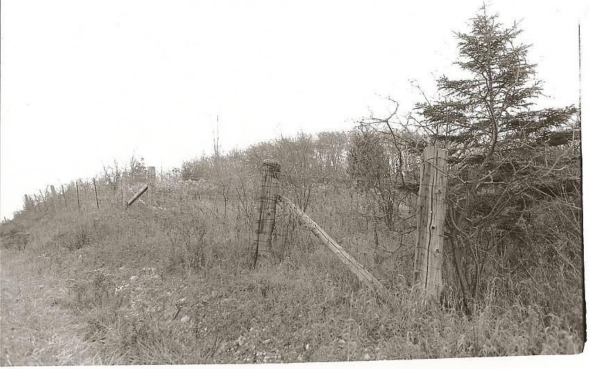 Fence