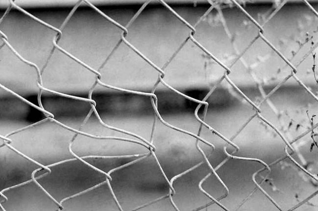 fence