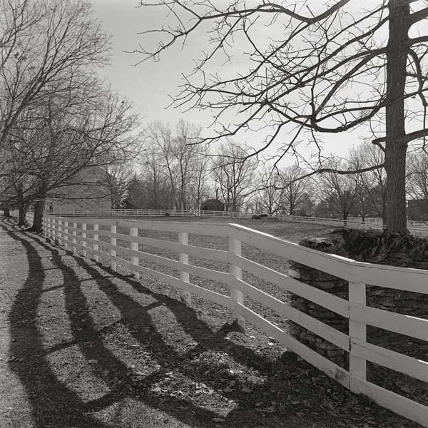 Fences