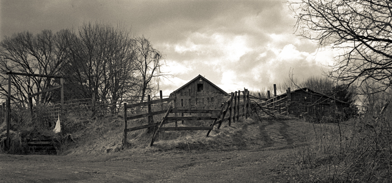Fences