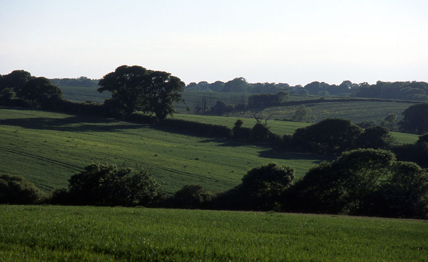 Field, Brading