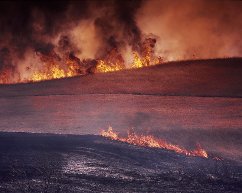 Field Burn