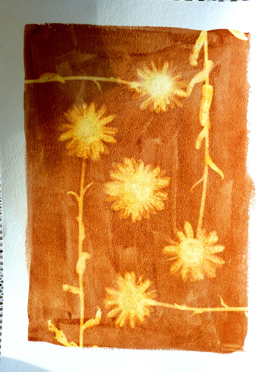 Field Daises-01-Sepia