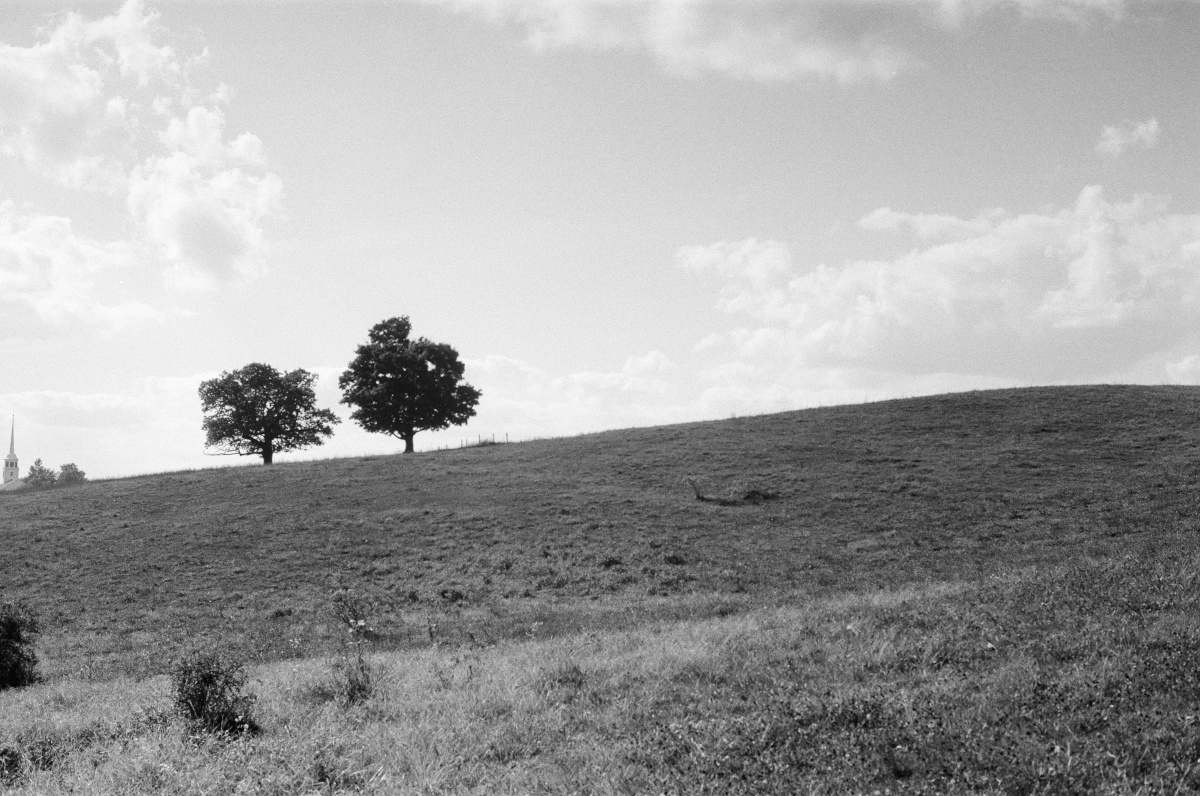 Field
