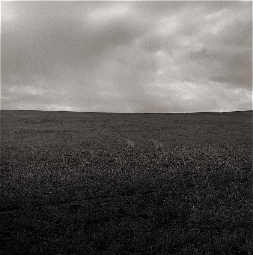 Fields off North Livermore Avenue, Livermore, California