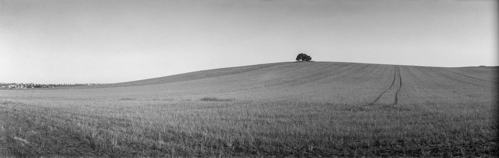 Fields