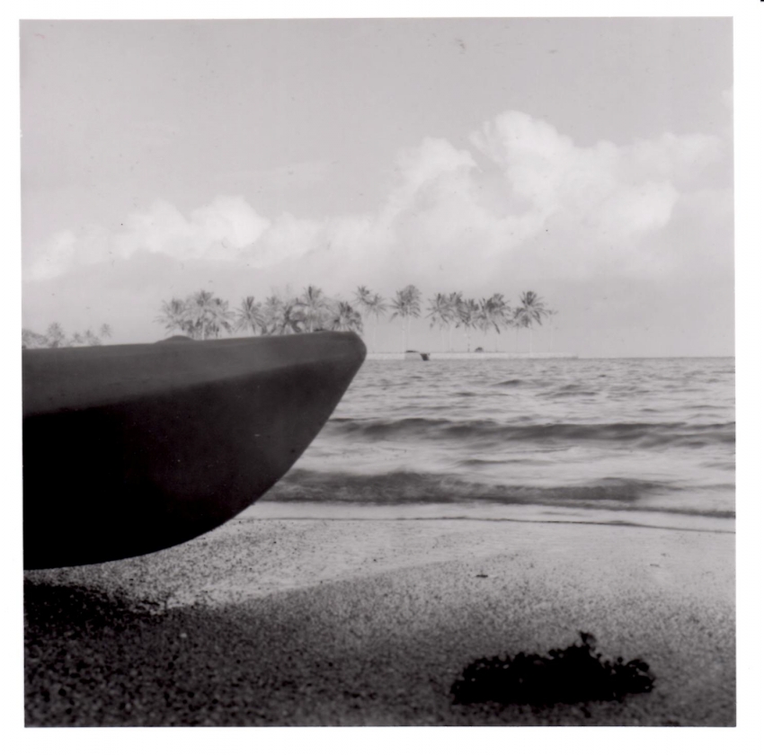 Fiji1
