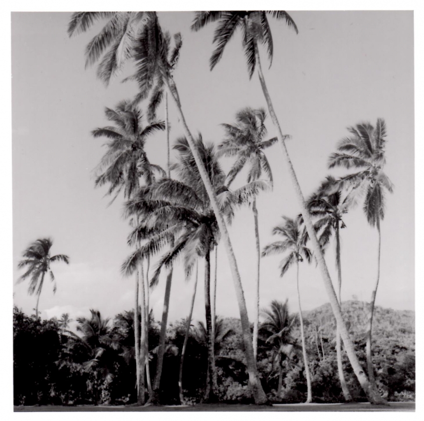 Fiji2