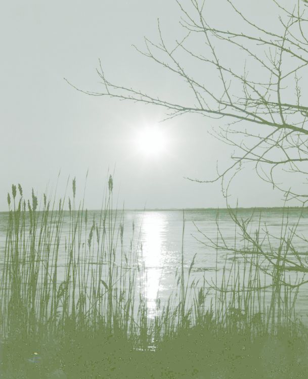 File0064