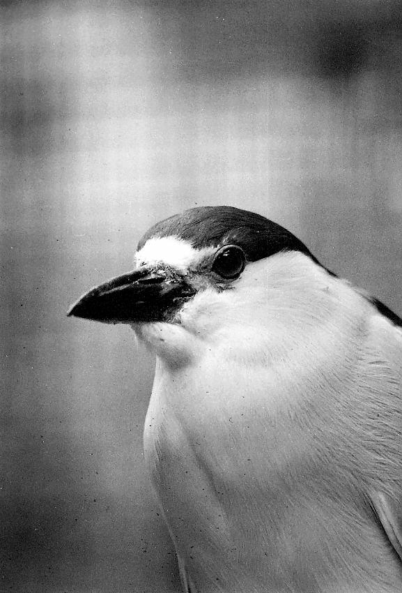 film camera test rolls 3025