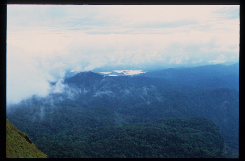 film snaps -220000100325