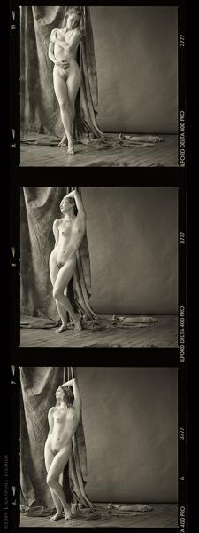 Film Strip