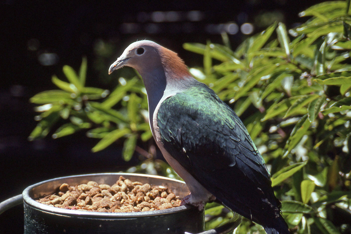 Final Kodachrome 64 Shots