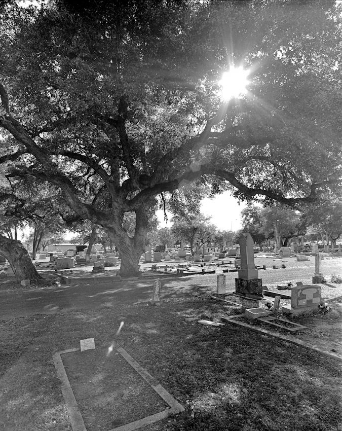 Final Resting Place in the Sun