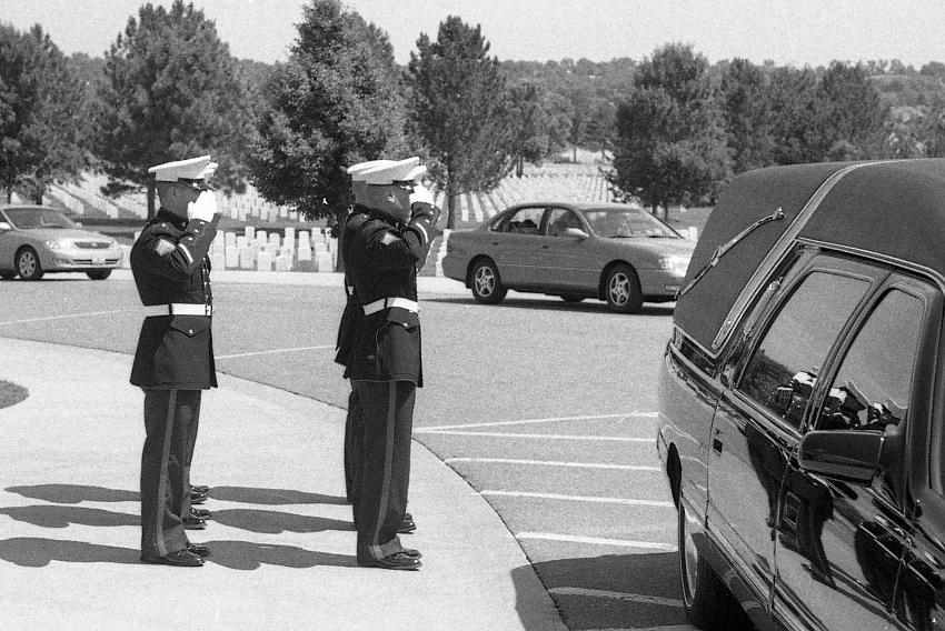Find the cost of freedom - salute