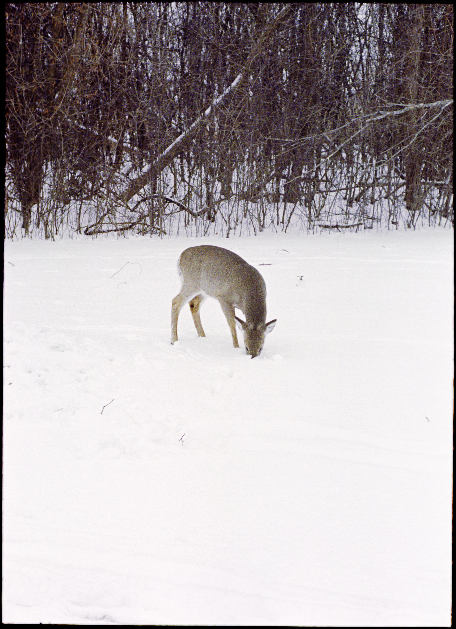 Finding What You Need