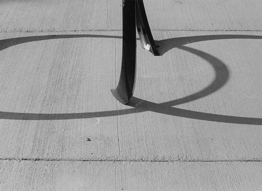 Findlay Loops