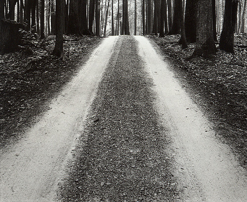 Fire Tower Road