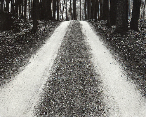 Firetower Road - REPRINT