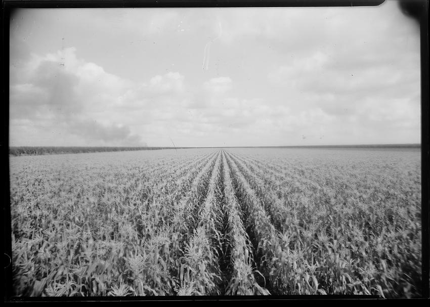 First 5x7 LF scan