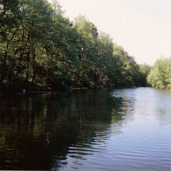 First 6x6 transparencies