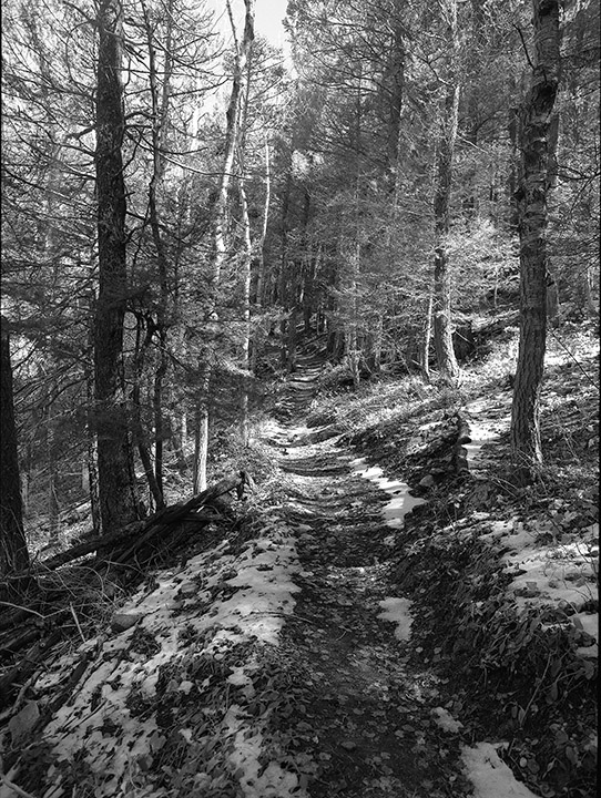 First Bit of Snow, Pino Trail