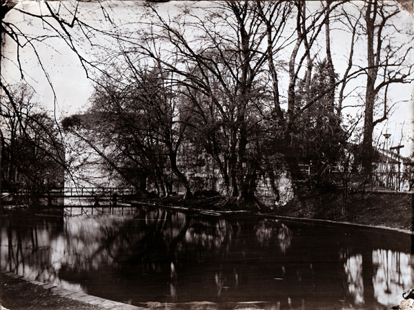 First Collodion Shoot Outside