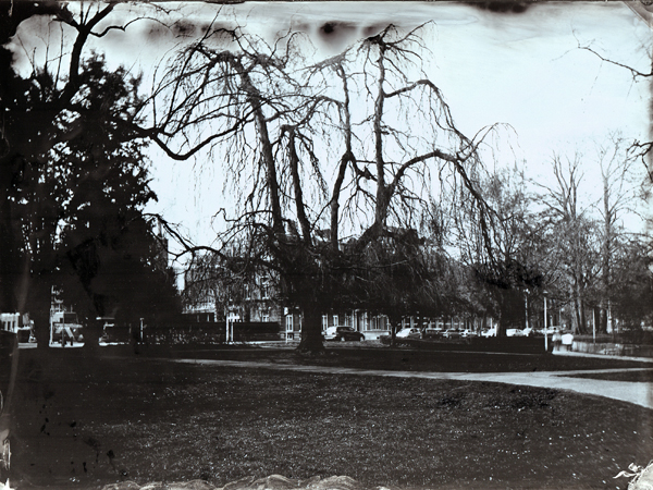 First Collodion Shoot Outside