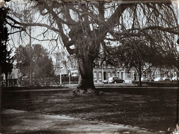 First Collodion Shoot Outside