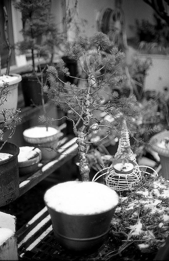 First encounter with ORWO film