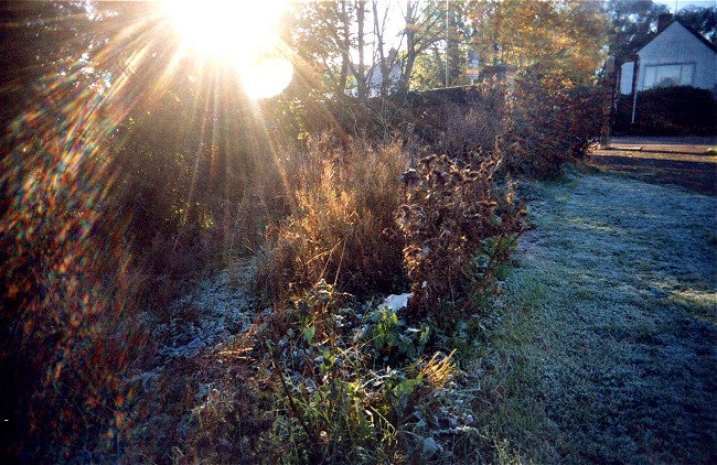 First Frosty Morning