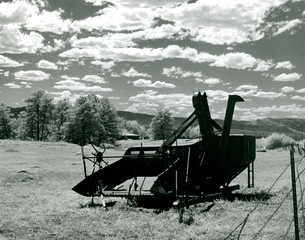 First home darkroom print