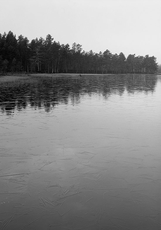 First ice