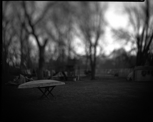First morning light of 2012