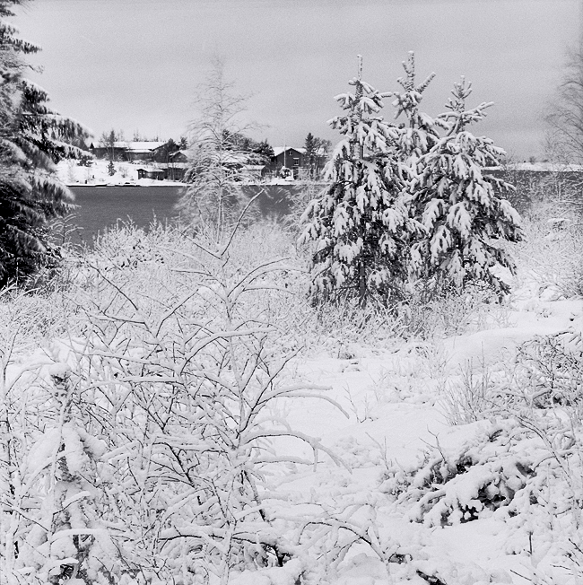 First real winter day